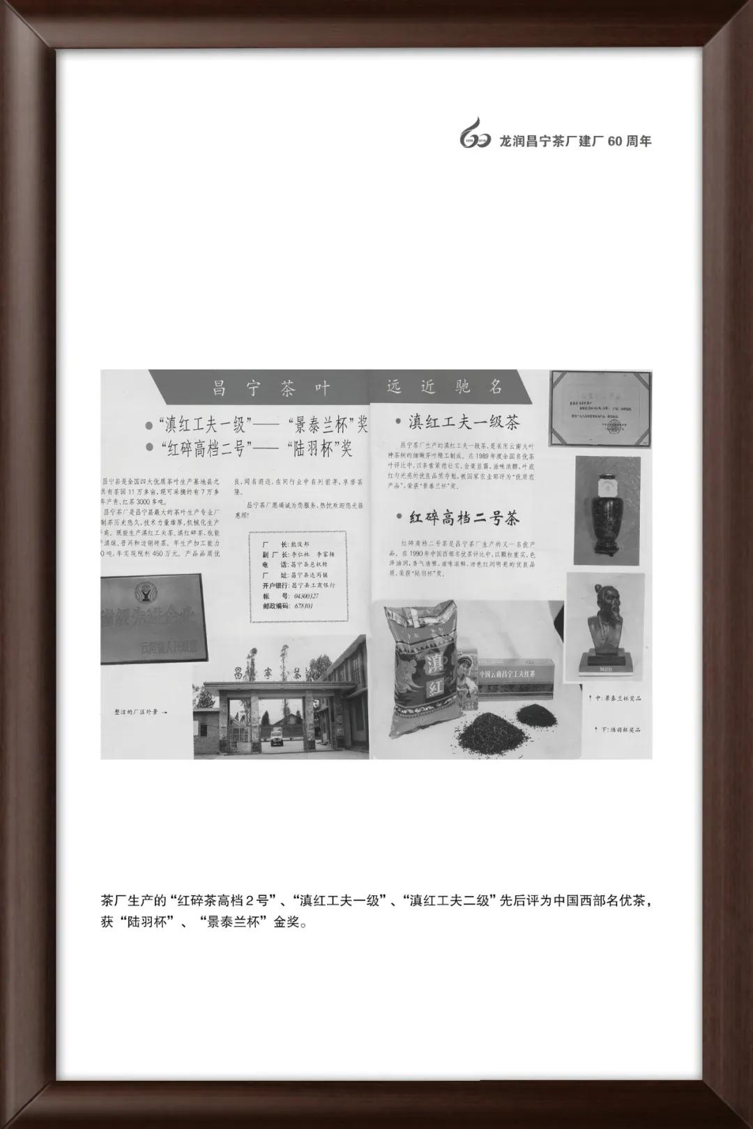 龙润茶大金芽1958,龙润大金芽好茶