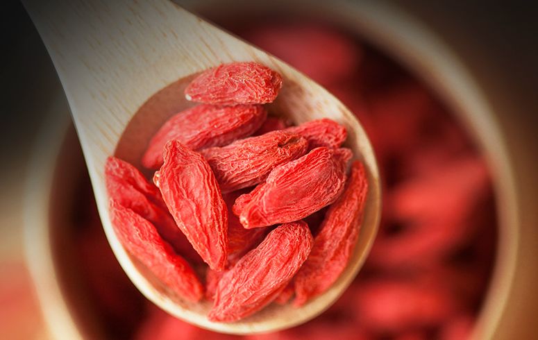 菊花枸杞再加什么比较好喝,菊花枸杞和黑枸杞