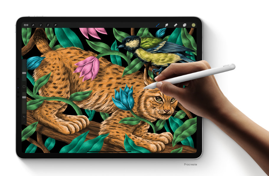 苹果ipad最值得入手的是哪款,苹果目前哪款ipad最值得入手