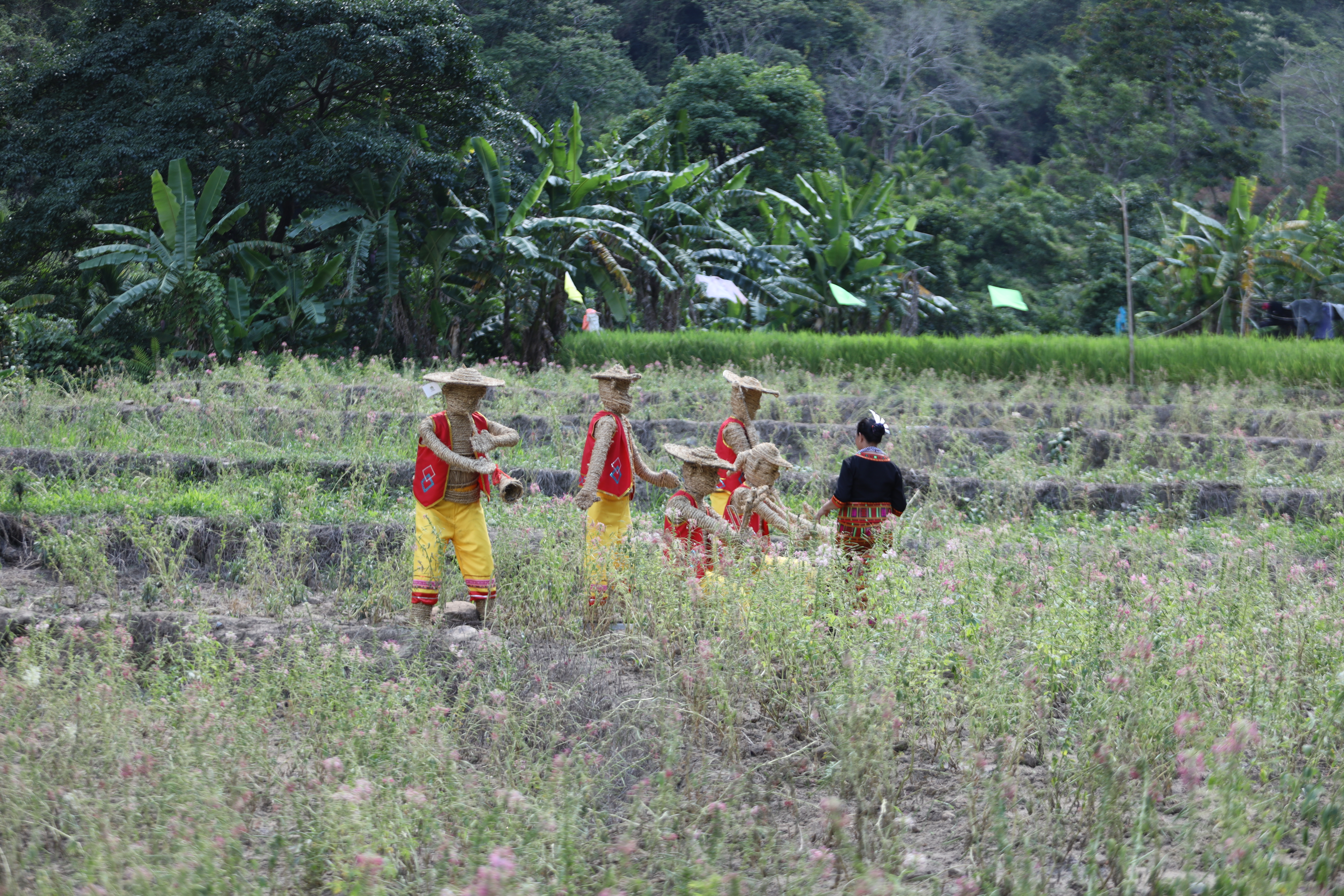 昌江梨花里视频完整版 (昌江王下乡黎花里自驾游攻略)