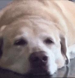 恭喜在最美四月捡了一个小时！夏令时将结束！和中国时差变2小时