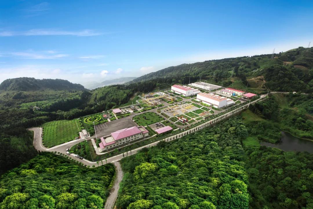 用行舍藏的意思,用舍行藏小说