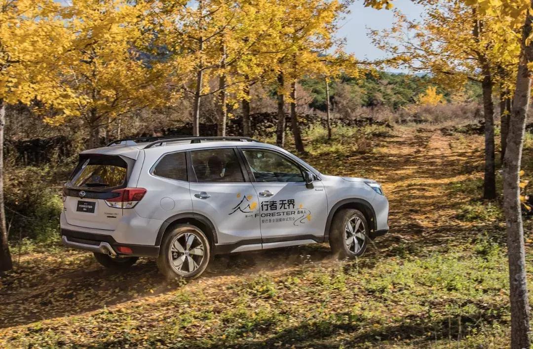 斯巴鲁森林人全时四驱不好使,全时四驱斯巴鲁森林人10款多重