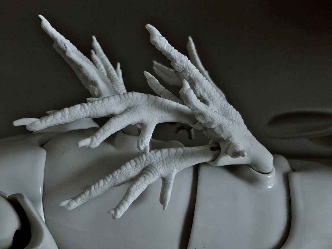 长颈鹿如何进化,长颈鹿如何从矮变成高