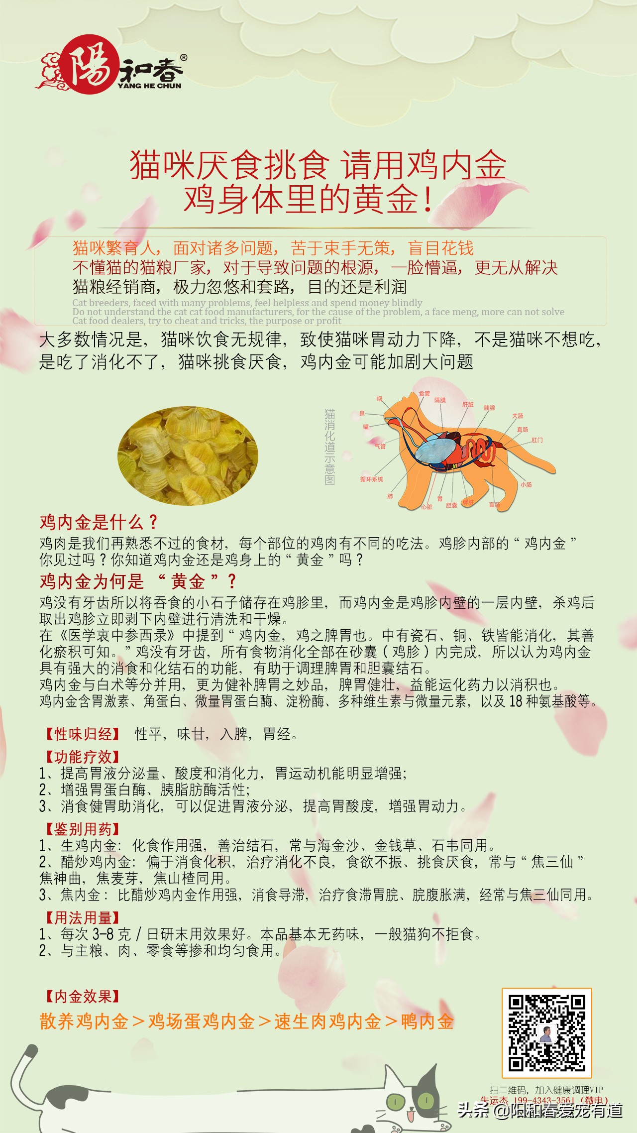 猫咪挑食厌食怎么办,猫咪挑食厌食怎么调理