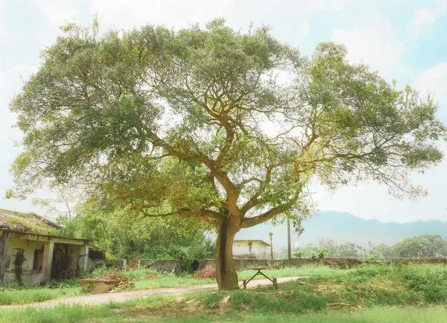 你要知道你人生中最重要的是什么,人生中的真正重要的事情