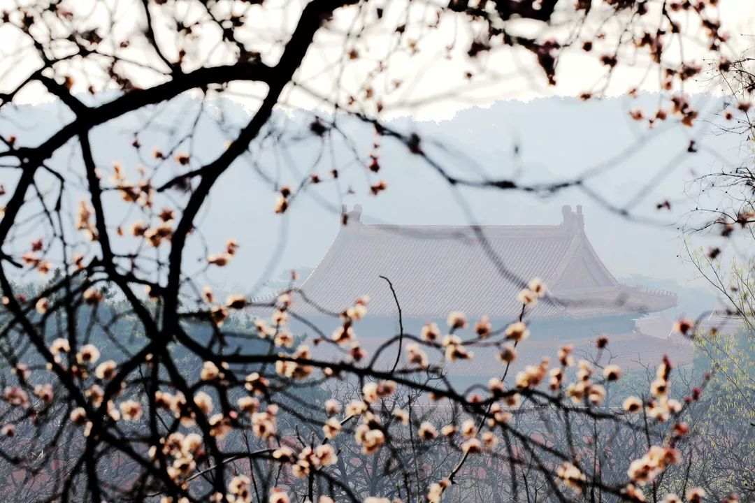 神厨库的重檐建筑,皇陵建筑