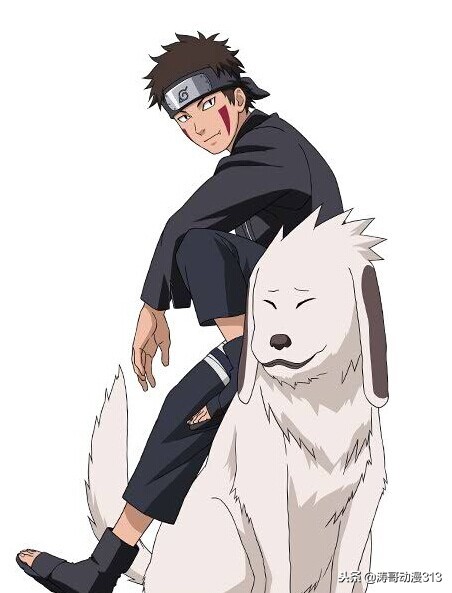 火影忍者犬冢牙的姐姐,小犬冢牙教学火影忍者