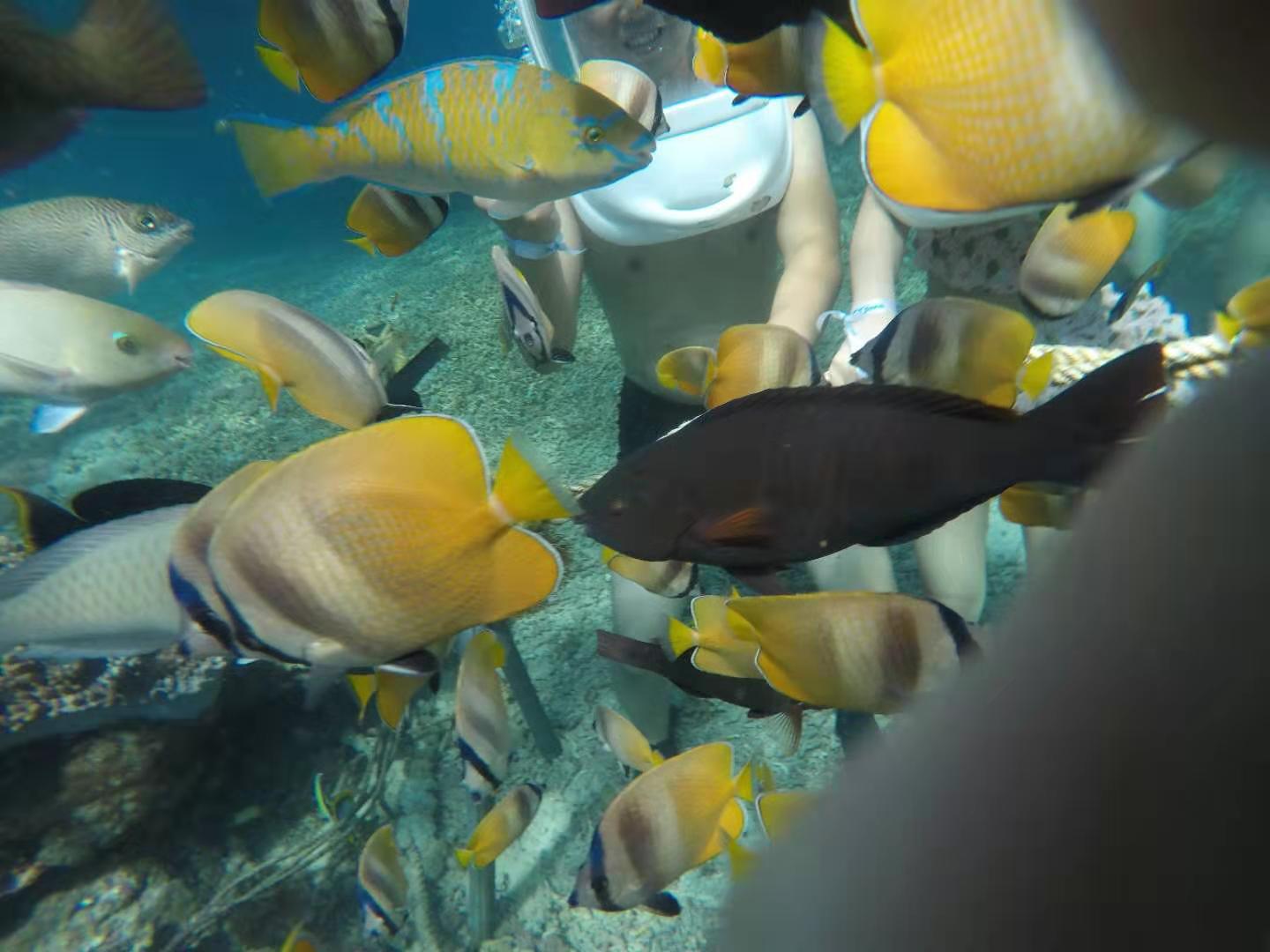 蜜月圣地之一巴厘岛（游玩攻略）