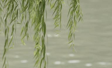 童声合诵｜安修原创《初春的沂河》诵：佟航宇妍淇儿