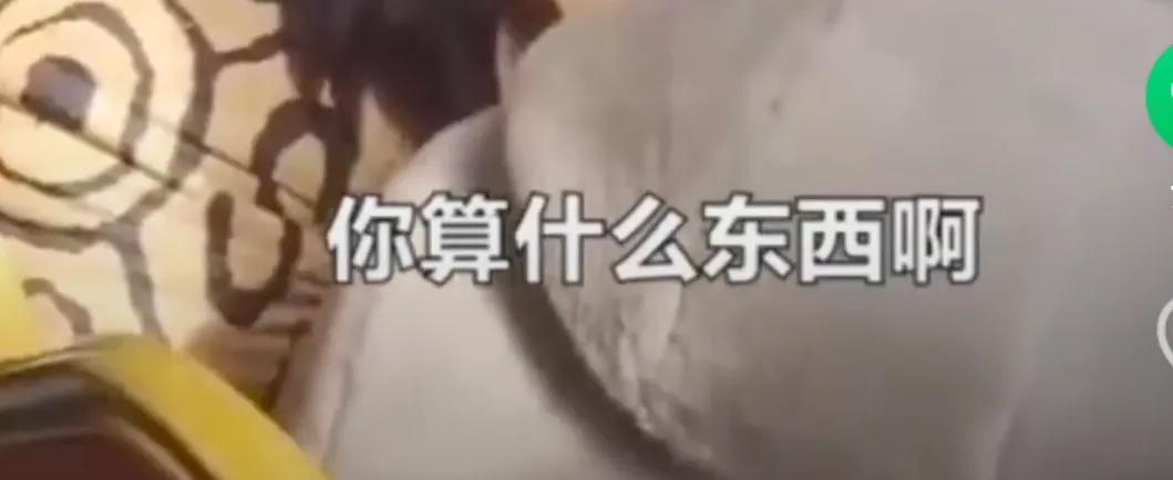 旅行中的陷阱大全,旅行中的陷阱有哪些