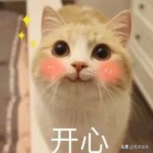 中秋假第2天!天府新区这些地方让你玩个够