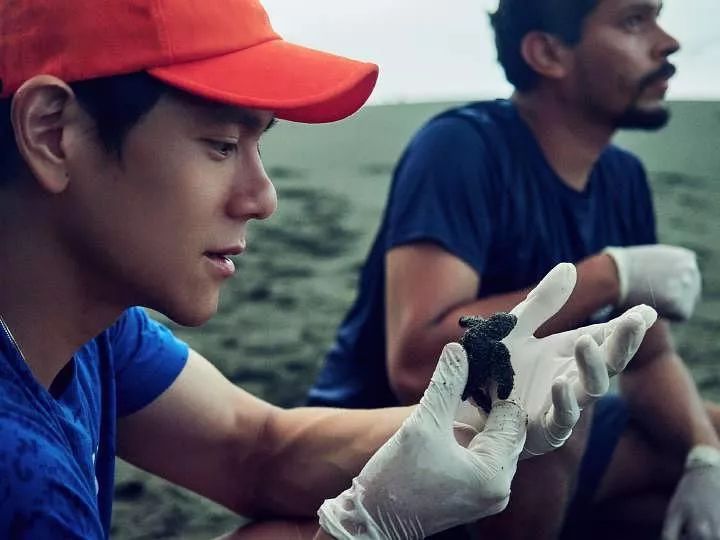 彭于晏我最需要的时候你在哪里,彭于晏我最需要他的时候他在哪里