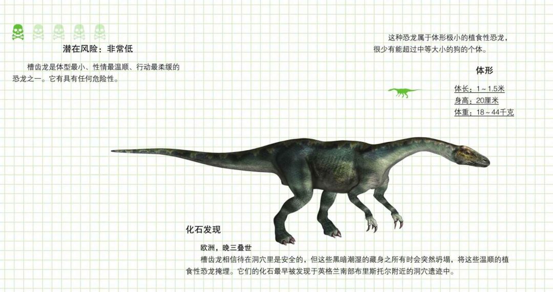 三叠纪晚期肉食恐龙,三叠纪的恐龙有哪些图片