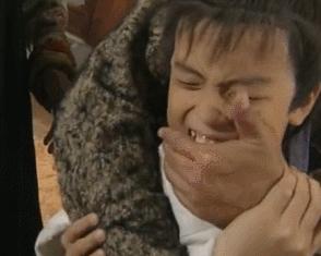 千年不倒的少林,昙花一现的丐帮