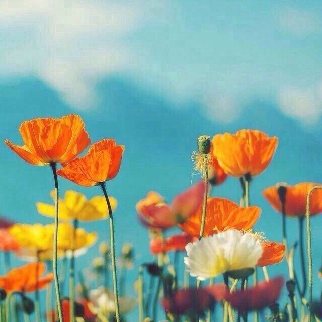 不回你信息的时候如何高情商回答,微信没回信息怎样高情商处理