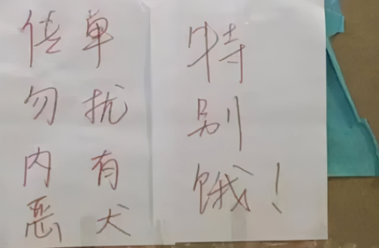 大学生花式贴语，专治“宿舍推销”，学姐：内有恶犬，推门就打