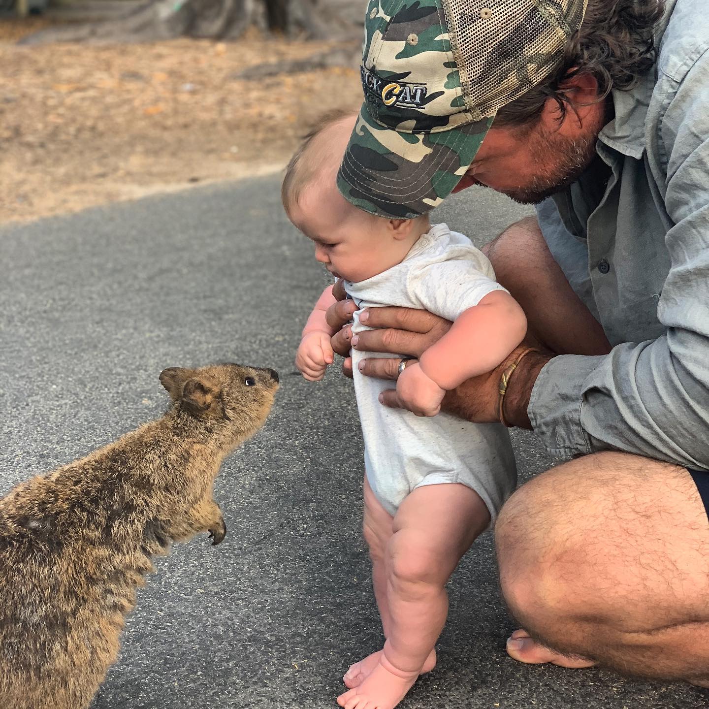 澳洲狂野早教：2岁娃单挑巨蟒，爸爸在一旁指点加油，这？