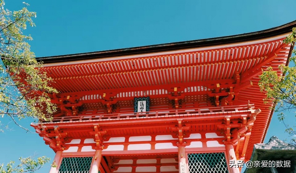 日本豌豆公主,日本豌豆公主专卖