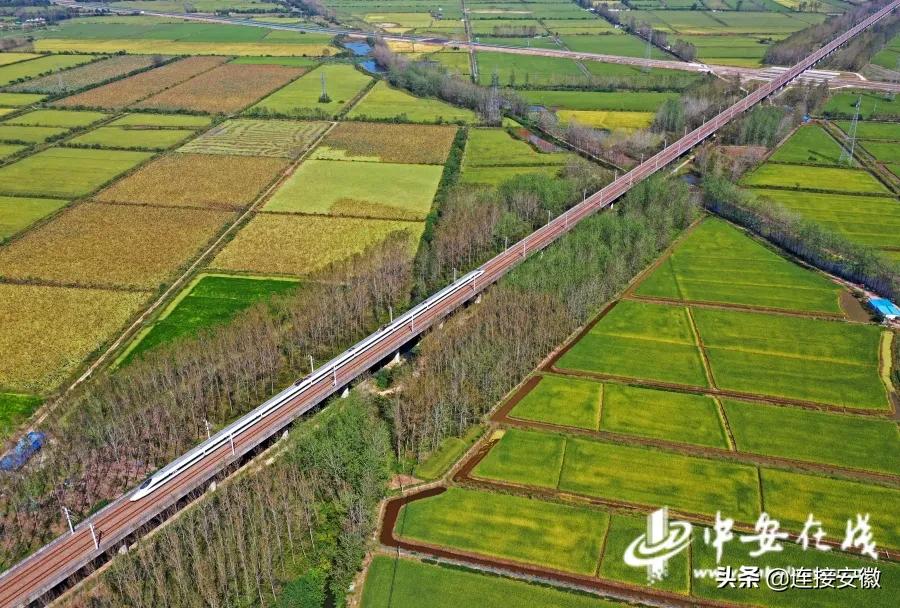 今年秋粮收购最新政策,最新秋粮收购政策