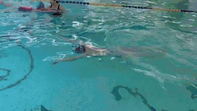 初学游泳有游泳圈,初学游泳浮起来了游不走