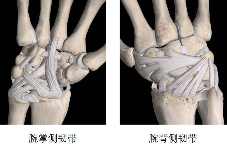 摇晃手臂肩关节有咔咔响,晃动手腕咯咯响正常吗
