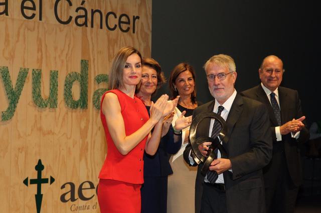 蕾蒂齐亚王后最新穿搭,45岁莱蒂齐亚王后穿衣搭配