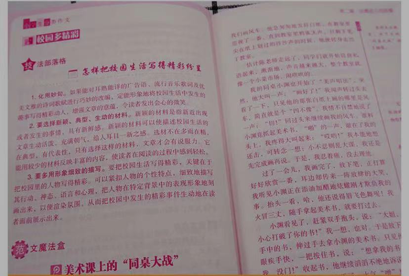 小学生作文我的姐姐,小学作文大全我的姐姐