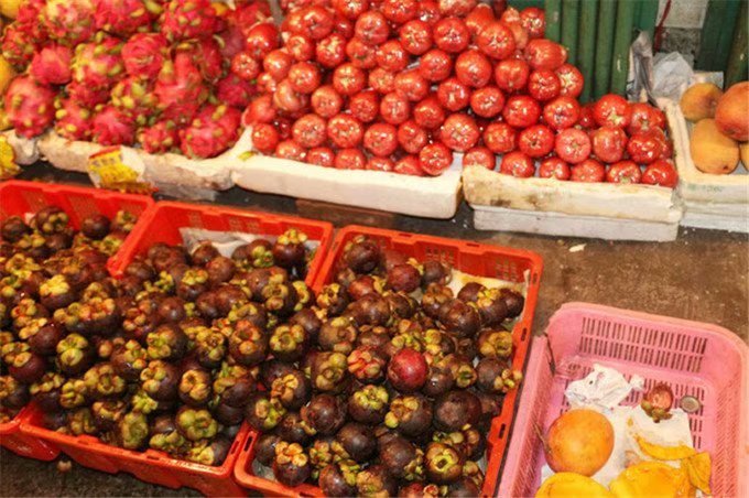 一家三口的第一次远行三亚之旅,带爸爸妈妈去三亚旅行攻略