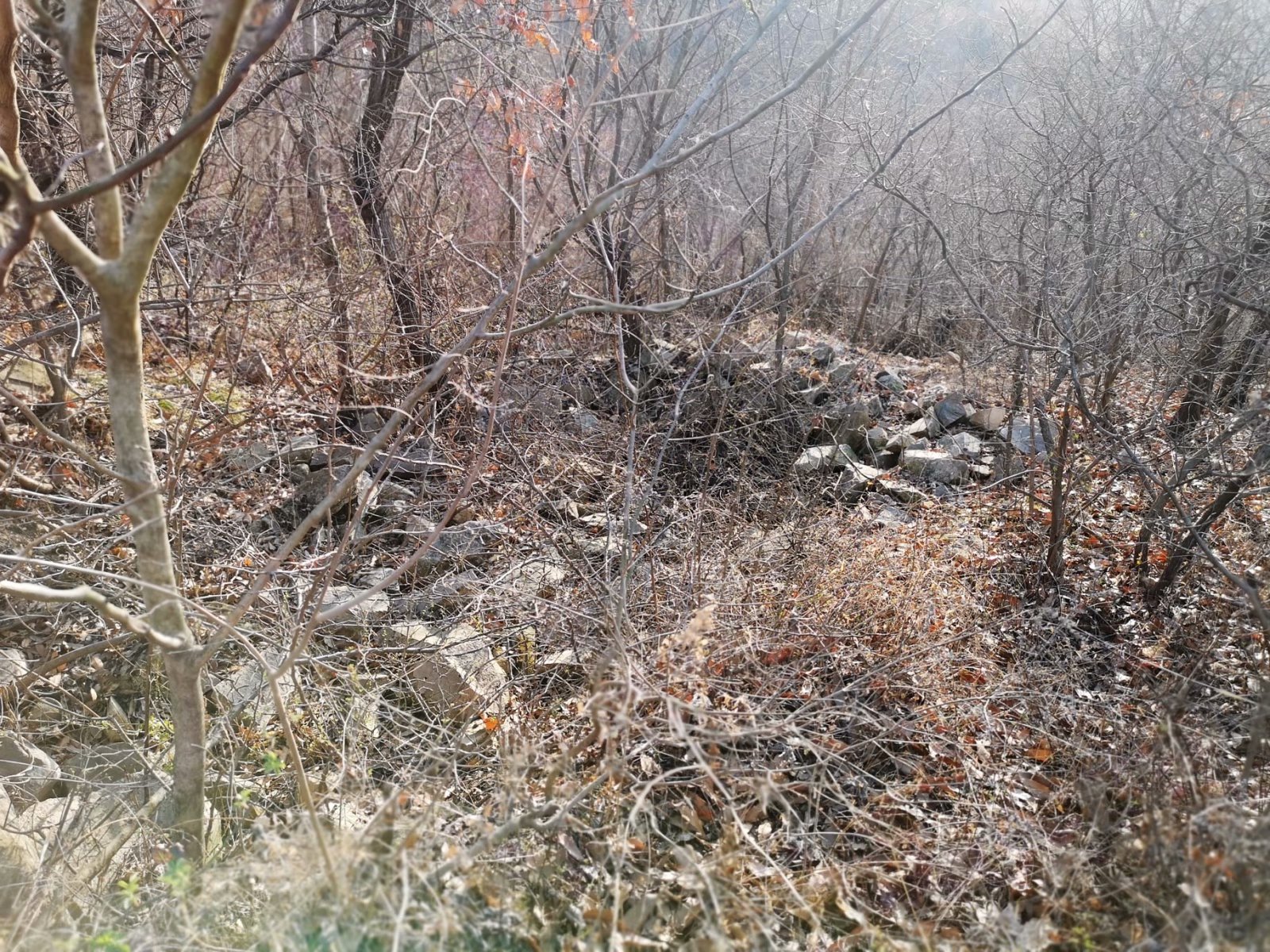 摩托周边旮旯游——探访蚌埠李楼鲁山寺遗址（上）