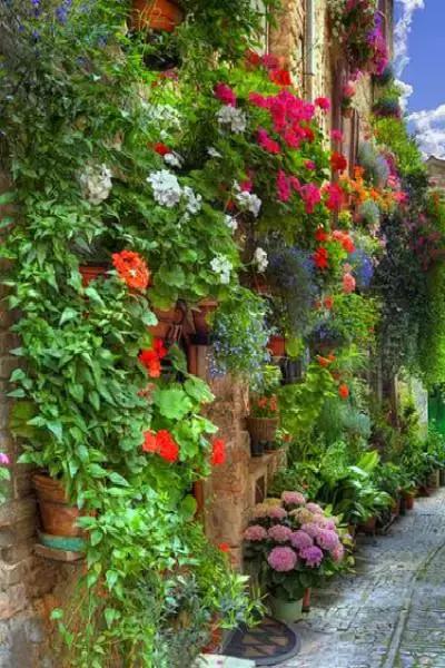 缘妙不可言不可思议,缘不可言