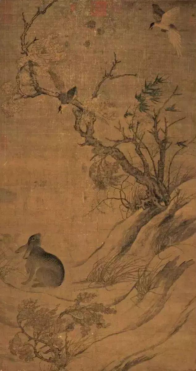 慢慢学花鸟｜这胖胖的哑嗓大黑鸟怎么成了“喜”鹊？