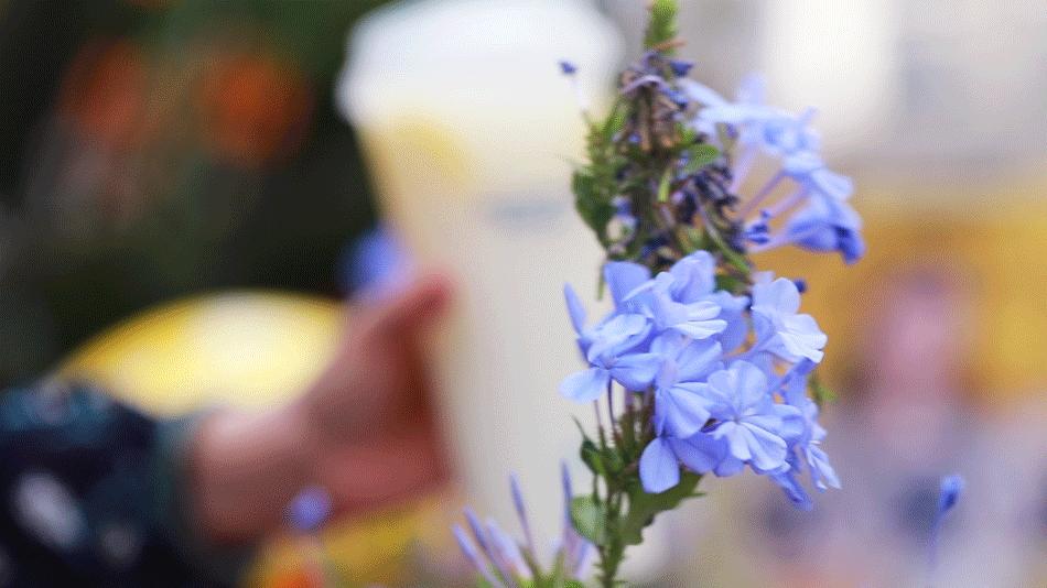 汉堡1000家店通用,全国最火的汉堡连锁