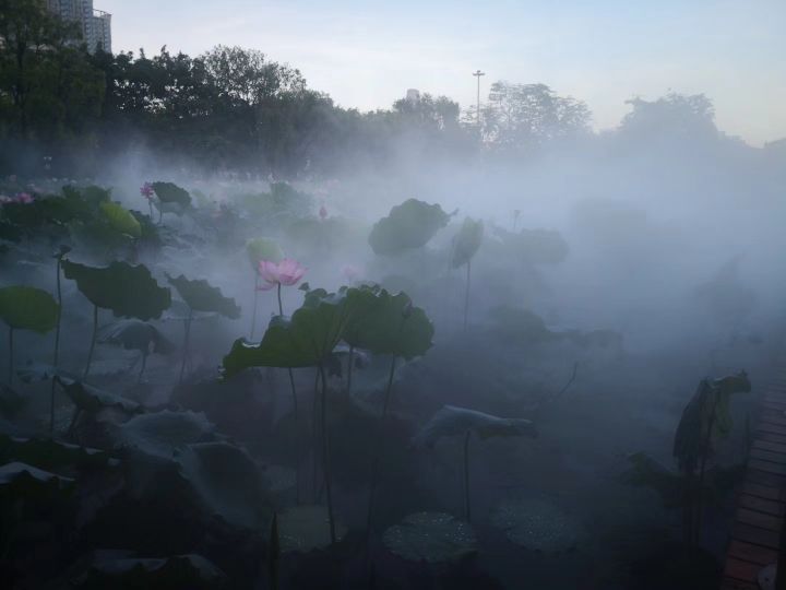 奔跑在深圳市中心,深圳洪湖公园最好的地方