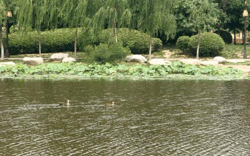 西安马尔代夫沙滩在哪里,西安马尔代夫图片