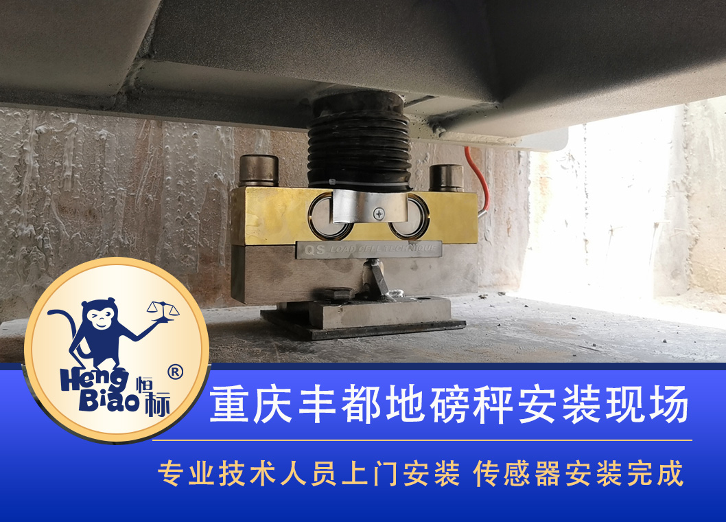 电子磅秤多少钱一台,家用电子磅多少钱一台