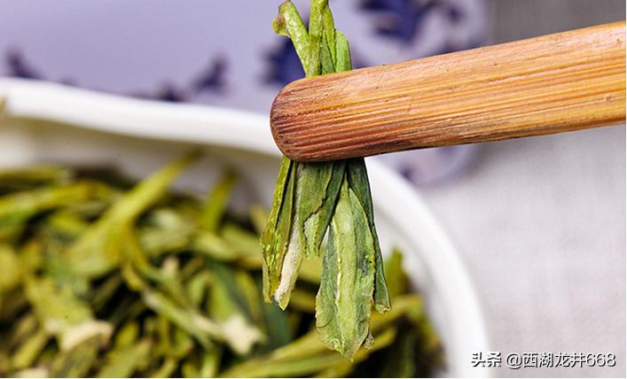 铁观音茶和龙井茶有什么区别,龙井茶和铁观音哪个对身体好