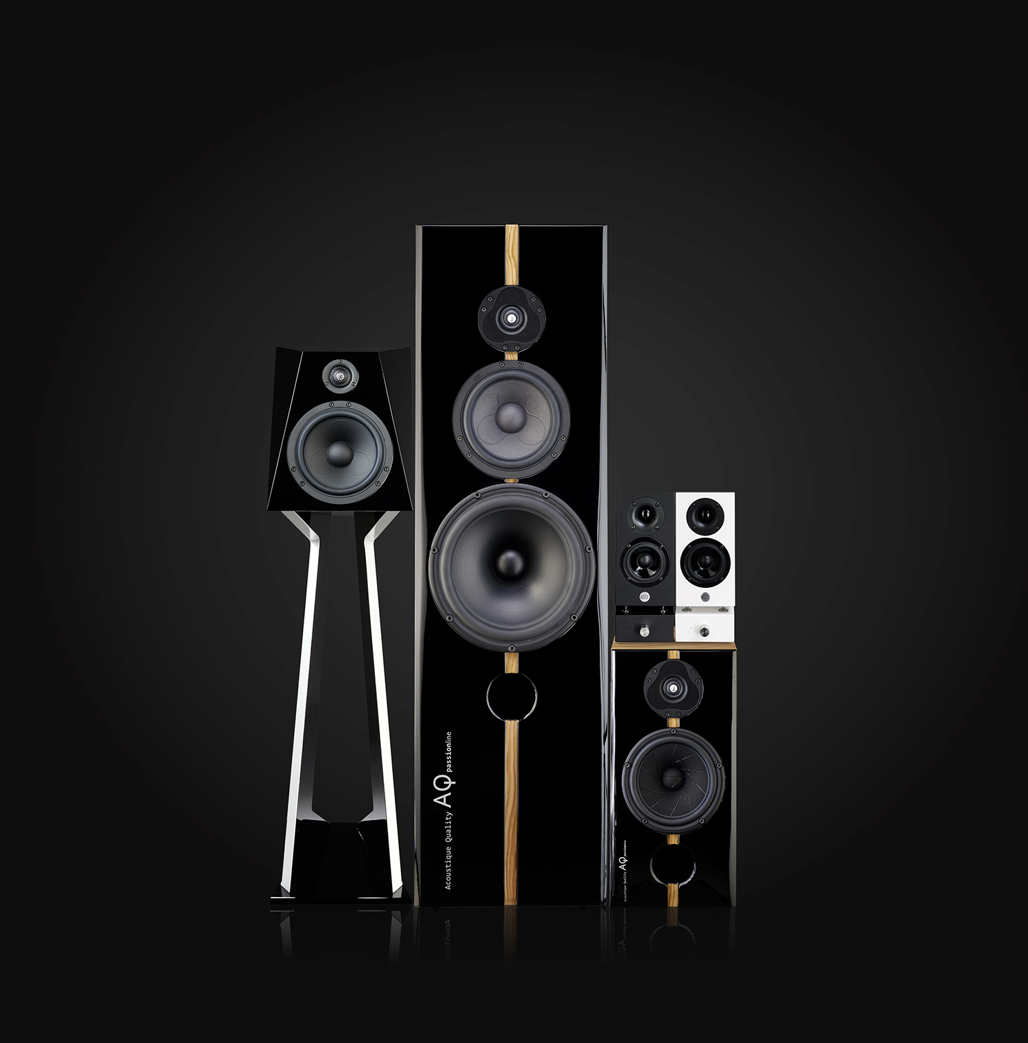 中坚力量——评AQPassionTeen书架式音箱