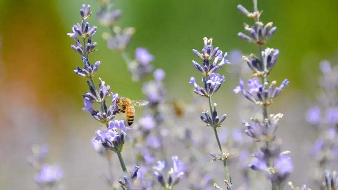 汽车企业环保低碳之路,汽车企业环保措施