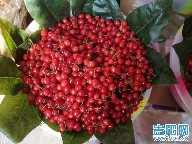 樱桃新鲜上市早期价格比往年略高,樱桃上市60一斤