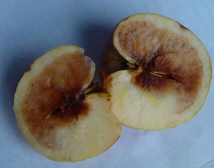 作物缺素口诀,作物营养缺素诊断与科学施肥