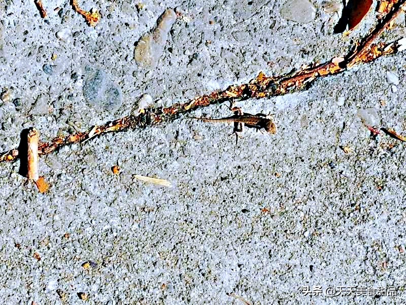 我在锦州的日子，这个周末女儿女婿又骑行