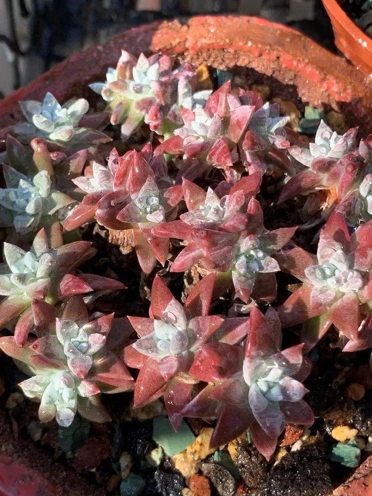 禁足的日子收获颇多,禁足