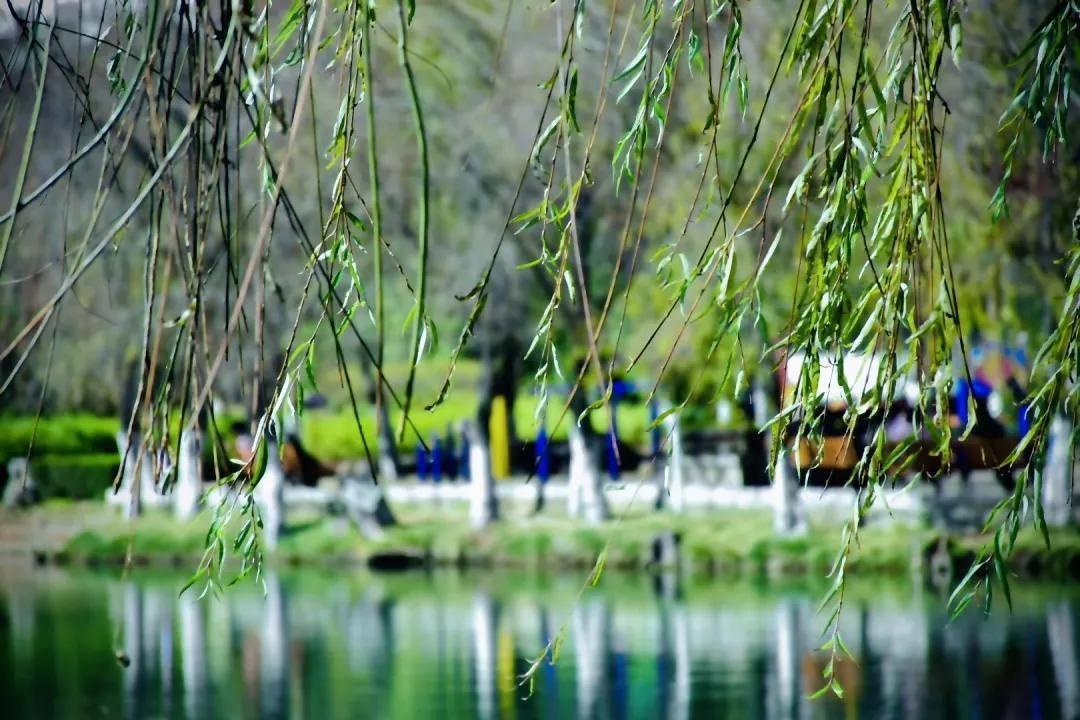 丽江避暑居住攻略,丽江避暑旅游攻略