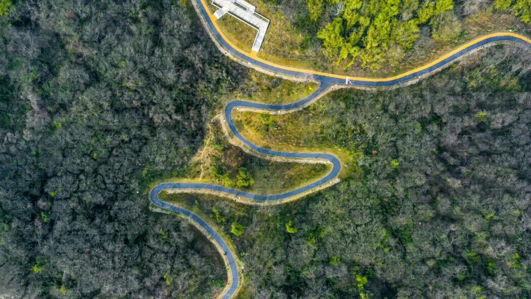 横空出世的栖霞中核，有多少想象力？