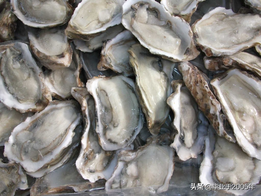 吃鱼虾的危害有哪些,吃鱼重金属超标对身体有什么伤害