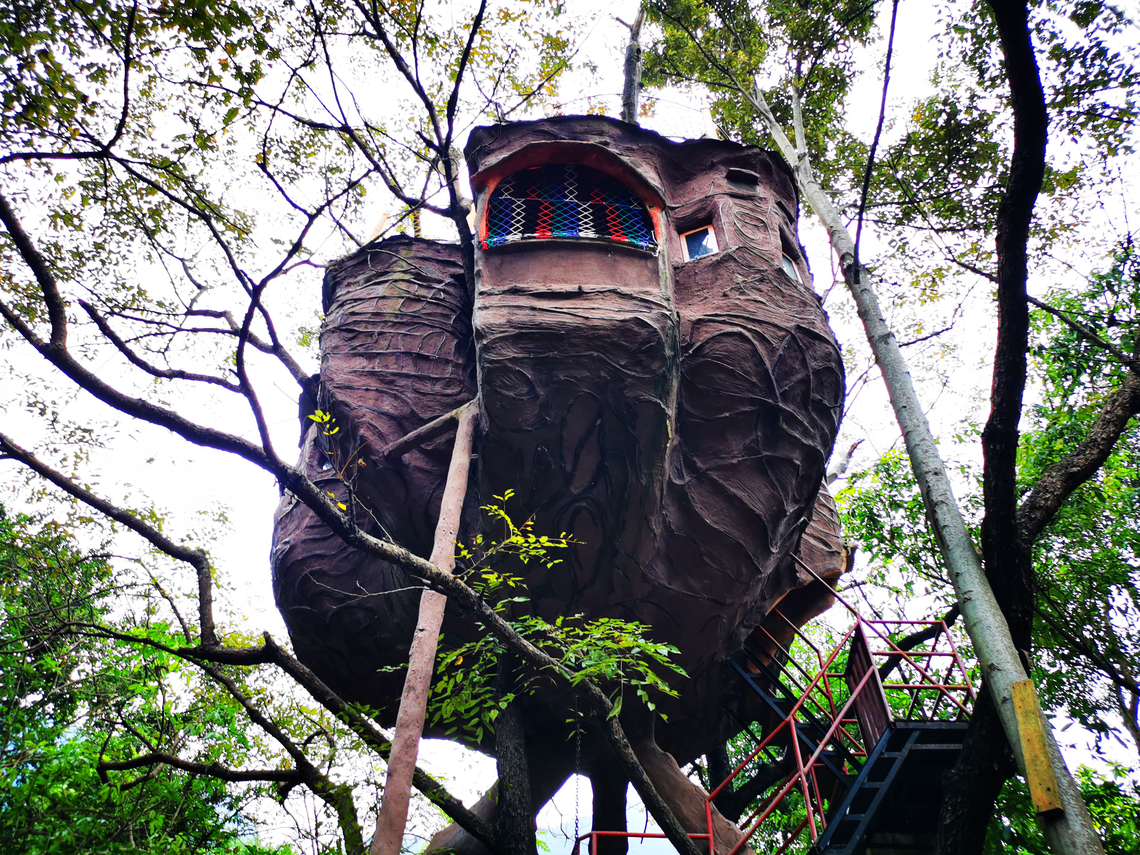 英德天门沟九州驿站套餐,英德九州驿站树上温泉