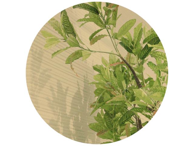 超级年中庆|eifini伊芙丽6月14日盛大开业，精选爆款5！折