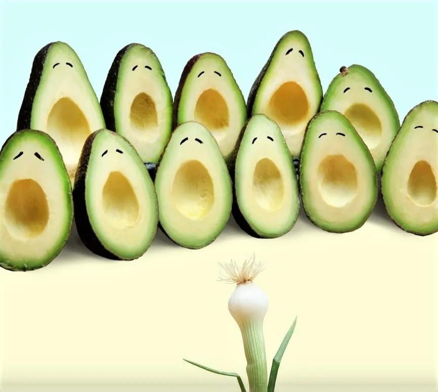 菜狗设计师,菜狗主理人