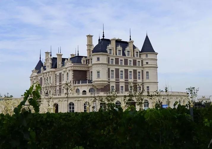 在*疆新**,谁才是“果界一哥”?